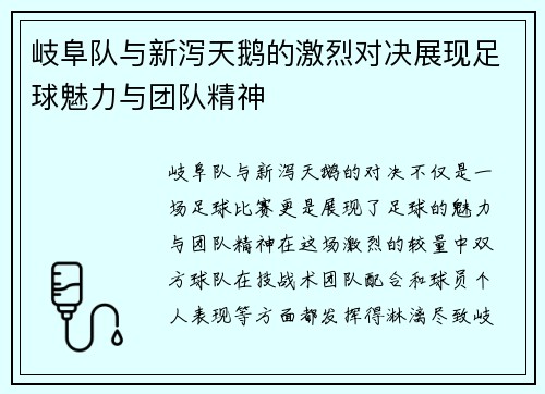 岐阜队与新泻天鹅的激烈对决展现足球魅力与团队精神