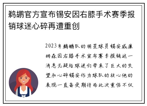 鹈鹕官方宣布锡安因右膝手术赛季报销球迷心碎再遭重创